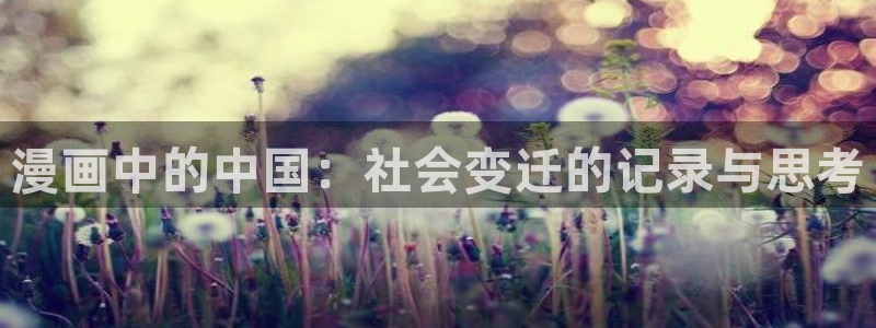 漫蛙2安装包：漫画中的中国：社会变迁的记录与思考